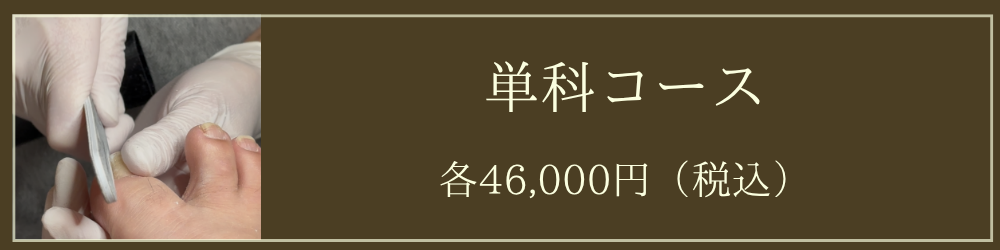 単科コース